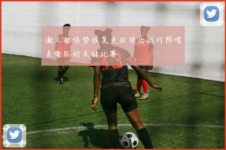 谢文能伤势恢复良好将出战对阵喀麦隆队的关键比赛